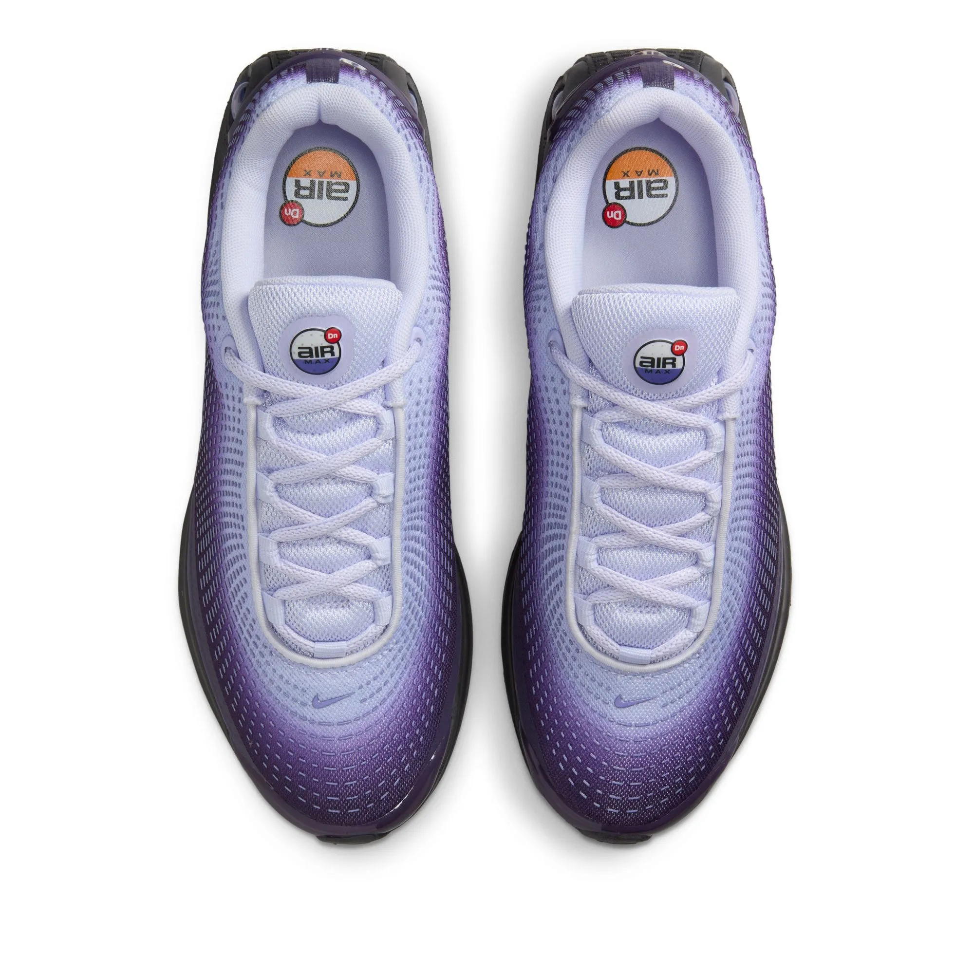 Women's Nike Air Max DN - Dark Raisin/Amethyst Tint