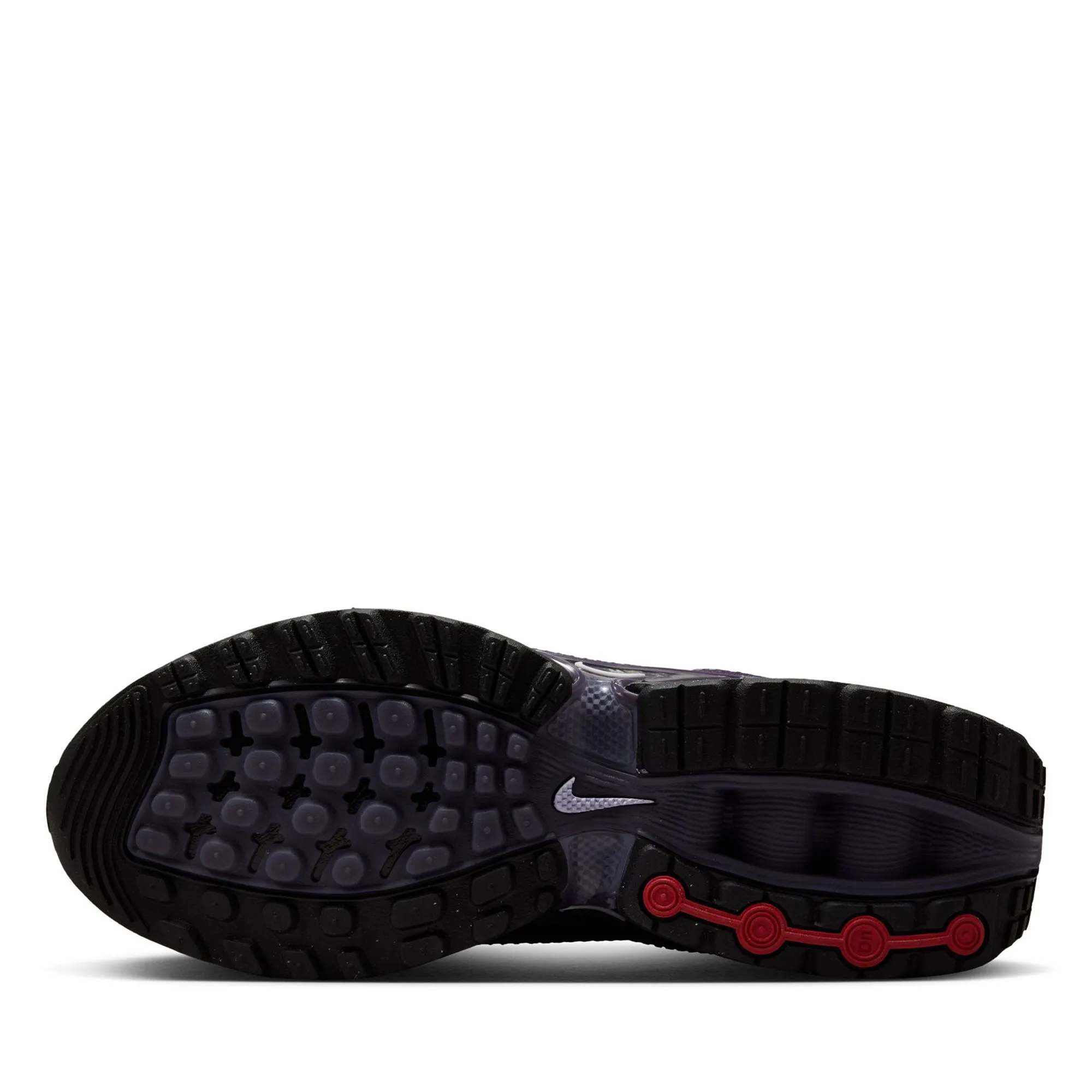 Women's Nike Air Max DN - Dark Raisin/Amethyst Tint